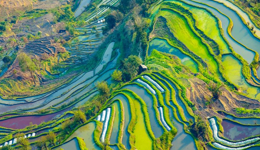 宝妈必备神器：顺义区产品视频拍摄轻松育儿好帮手